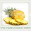 TTN 2016 Bulk Organic Freeze Dried Food Freeze Dried Pineapple