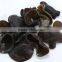 IQF Frozen Black Fungus Ear Mushroom