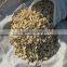 Fresh Herbs and Spices Products Dried Ginger