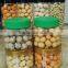 white sesame coated peanuts cracker