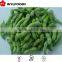 Grade A soybean kernel iqf price for sale