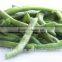Fried Green Bean