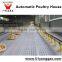 Poultry farming equipment breeds of broiler chickens equipment