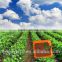 Bulk Organic Biochemical Fulvic Acid Fertilizer In Agriculture