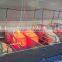 Breeding Pig Corral for Pig Farrowing Crate