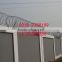 hot dipped galvanized concertina razor wire export military razor barbed wire