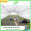Searea Economical Single Tunnel Greenhouse