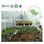 Eco-friendly Transparent PVC Tunnel Greenhouse/Flower House/ Warm House For Agriculture