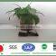 2015 china factory direct sales !! used Climber trellis mesh for sales
