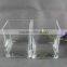 Transparent Glass Vase , Square Glass Flower Vase