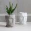 Head Vessel / Planter , Concrete succulent air planter