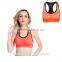 Hot Sale High Quality Ladies Sexy Sport Bra Leisure Comfortable Body Shaping Yoga Bra