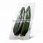 Natural Bamboo Leaves high quality bamboo leaves good Bamboo Leaves No pollution Fresh