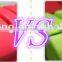 Top Sale High quality 33*14cm Yoga Hollow Foam Roller