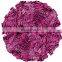 cheerleader pom poms