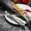 Home Gadgets Stainless Steel Fish Scales Planing Fishes Scale Brush Scraper