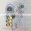 Diesel VE injector pump repair kit gasket BCX025 engine fuel pump repair kits 2417010010