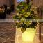 Factory price LED lighting systems garden flower plant light pot with remote control