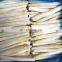 2022 BRC-A approved IQF White Asparagus Cut Frozen White Asparagus