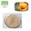 Spray dried green Papaya juice Powder with papain enzyme powder