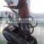 body fitness equipment /sports fitness/china factory directly sale/body strong fitness equipmentTZ-7014