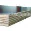 Hot sale  Film faced birch plywood  Film coated plywood