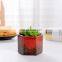 Wholesale Succulent Small Hexagonal Mini Ceramic Pot Kiln Flow Glaze Garden Pot
