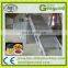economic and practical raisin production line plant dried grapes processing line for sale