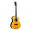 YAN 40-inch AC Body Spruce Solid Top Walnut Backsides Vintage Natural Color Y-40AC