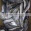 2015 frozen horse mackerel wr 100-200g seafrozen