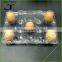 plastic Clear Plastic Tri-Fold Egg Cartons 15eggs                        
                                                Quality Choice