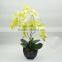 Indoor decor artificial latex flowers orchids with wholesale price