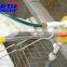 automatic poultry feeders and drinkers for broiler chicken