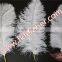 White Bulk Ostrich Feather For Wedding Centerpieces Decoration