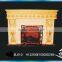Luxury design fireplace lion