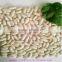 long shape white kidney beans of well taste