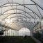 Solar Vegetalbe Greenhouse