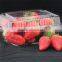 Strawberry PET plastic clear packaging container                        
                                                Quality Choice