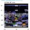 2016 EVERGROW IT5040 New model 6 channels aquarium lighting Wireless 6-channel controller