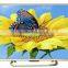 39"- 65" led tv fresh design made in china led tv                        
                                                Quality Choice
