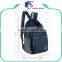 Multifunctional laptop bag foldable backpack / customized fashion backpack bag                        
                                                                                Supplier's Choice