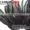 CHINAZP Best Selling Chicken Plume Wholesale Natural Black Half Bronze Rooster Schlappen Feathers Strung