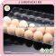wholesale high quality transparent plastic egg carton