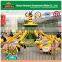 High quality park amusemnet rides ocean theme self control airplane for sale