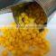 Canned corn kernels canned baby corn