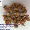 coated peanuts snacks/flour japanese roasted coated peanuts mixed/wholesale coated peanuts