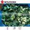 high quality frozen mixed vegetable best price