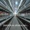 H type JINFENG Brand broiler chicken cage for tropical area/best price poultry equipment