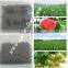 100% Water Soluble Organic Sargassum source Fertilizer