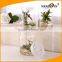 500ML/480ML/350ML/270ML Clear Round Plastic Jar for Hydroponic Plants